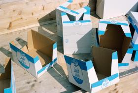 Milk Carton Boxes