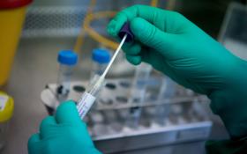 羅氏高度自動化新冠病毒檢測系統，是首個獲得美國食品藥品管理局批准緊急使用授權的商業化檢測法。