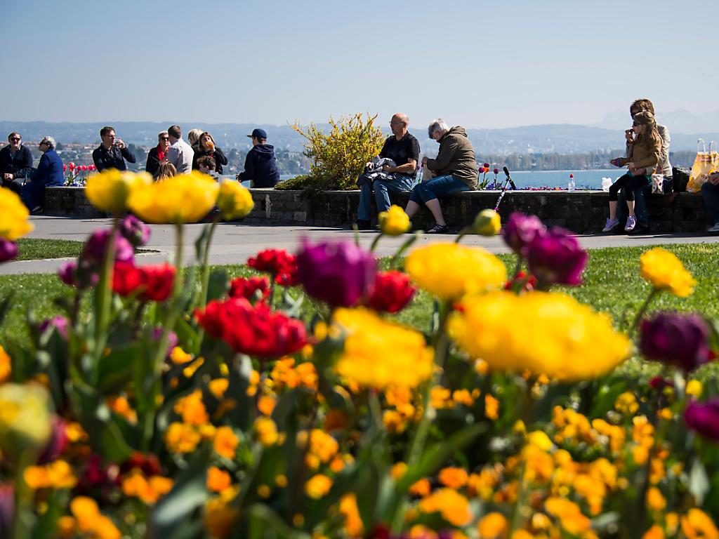 Copernicus, marzo 2020 fra i più caldi della storia SWI swissinfo.ch