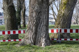 Kreuzlingen : frontera marcada por árboles y cintas