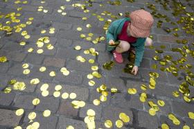 一个孩子在马路边捡金币巧克力