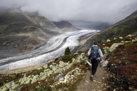 Aletsch glacier with hiker