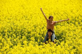 شخصان تبدو عليهما السعادة وسط حقل يكسوه اللون الأصفر