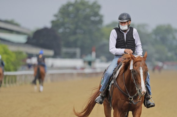呼吸系统疾病在马匹中很常见，通常都是通过空气颗粒或者马刷等物品的表面进行传播。
