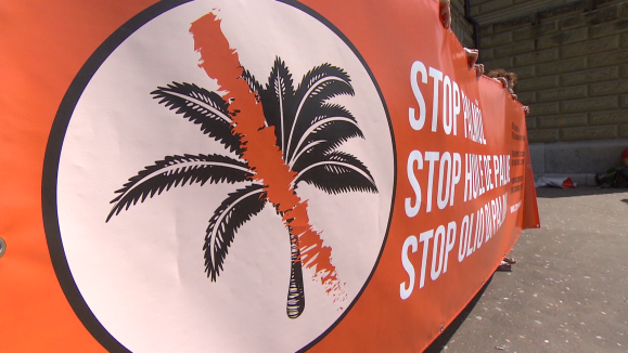 stop palm oil banner
