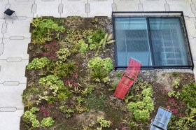 緑化したチューリヒ芸術大学（ZHdK）の屋上。