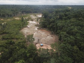 Deforested area with blue tarps where illegal gold miners reside in a Peru