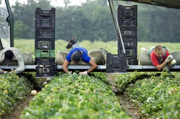 workers