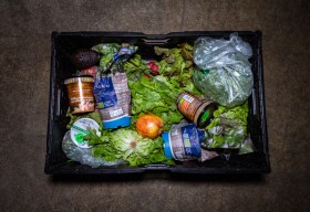 根据联合国粮农组织(FAO)的数据，每年约有三分之一的食物遭到浪费或损失。