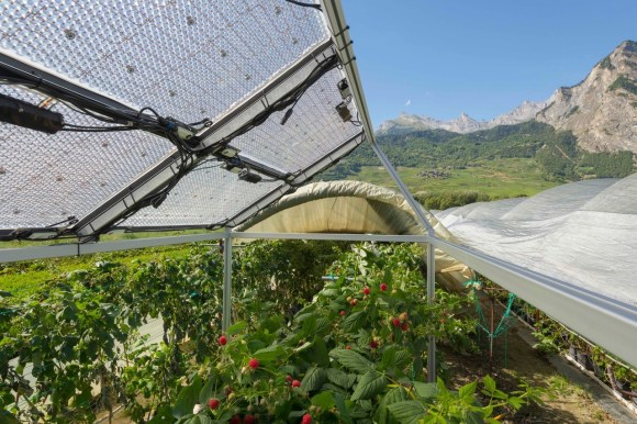 温室顶部安装的半透明太阳能电池板