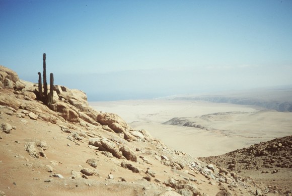 Peruvian desert