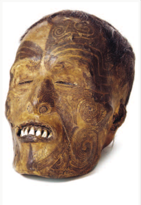 UN teschio maori presente nel museo
