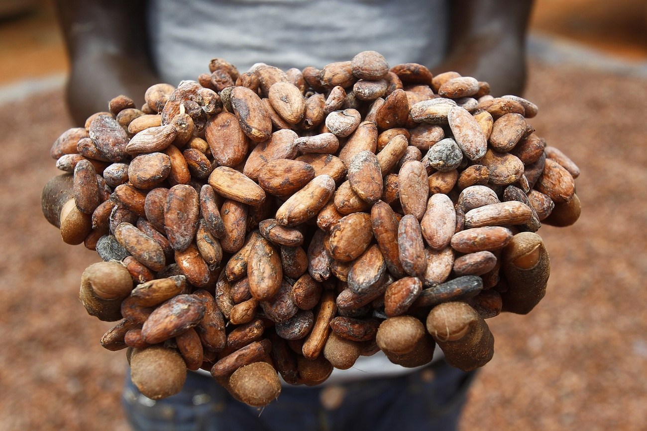 West Africa vs Big Chocolate: Battle over price sours relations - Vimarsana News