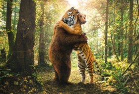 (illustrazione) Un orso e una tigre si abbracciano in una foresta.