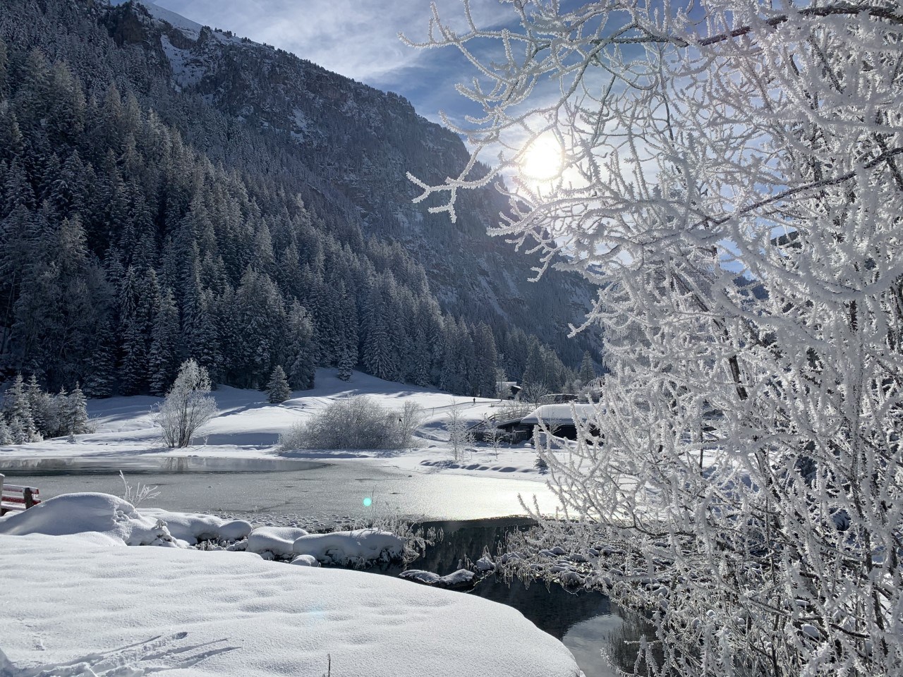 Alpine exposure: how good are our survival tactics? - Vimarsana News