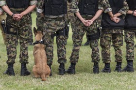 Army dog with soldiers