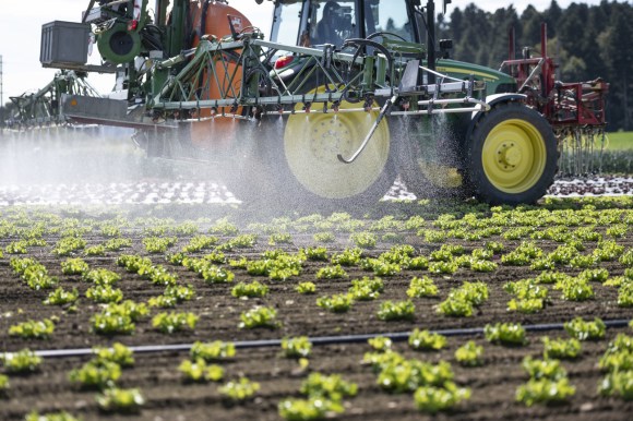 Tractor rociando pesticidas en un campo de lechugas