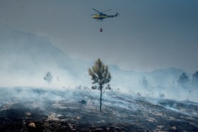 incendio forestale
