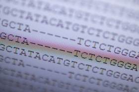 genome