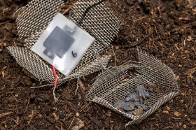 Biodegradable battery in compost heap