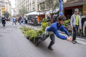 رجل يسحب نباتات بلاستيكية عبر الشارع