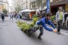 Man pulling plants on plastic sheet through street