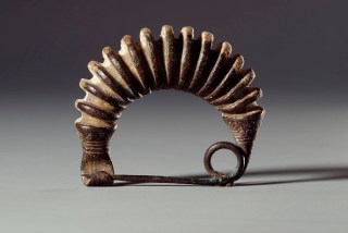 Fibula brooch
