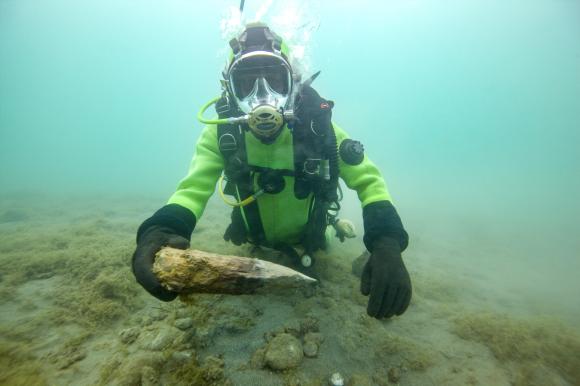 A diver carries a wooden pile from an ancient lake settlement to the surface of Lake Thun.