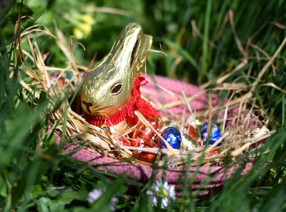 chocolate bunny