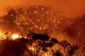 Feuersbrunst in einem kalifornischen Wald
