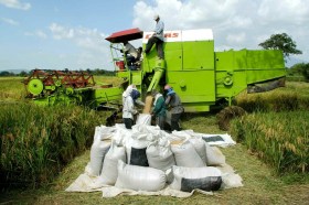 Salvadoran farmers in a rice field. (Keystone / Roberto Escobar) Traktor
