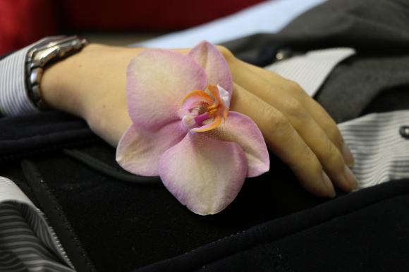 mano de una persona yacente con una flor