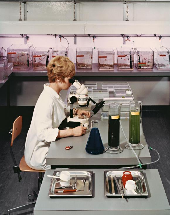 Una mujer, en un laboratorio, mira a través de un microscopio