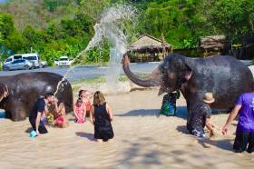 象との水遊びを楽しむ観光客たち