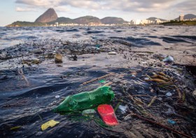المياه الملوثة قبالة سواحل البرازيل