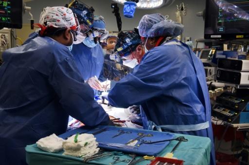 Cirujanos de EEUU trasplantan con éxito un corazón de cerdo a una persona -  SWI swissinfo.ch