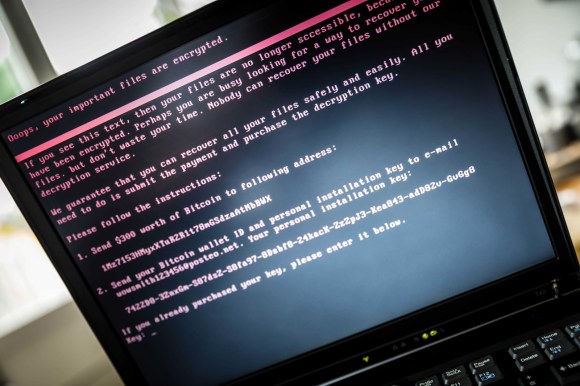 cyber