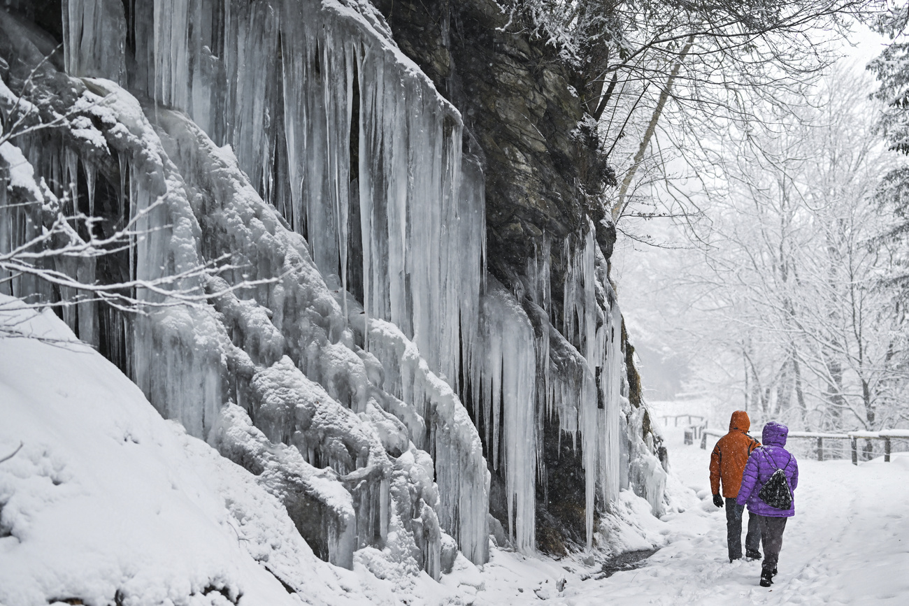 Switzerland Today - SWI swissinfo.ch
