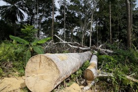 log