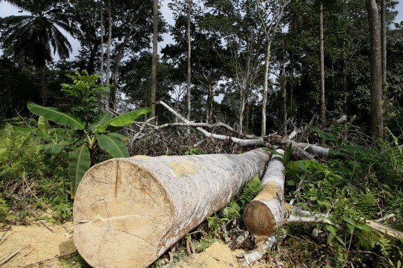 log