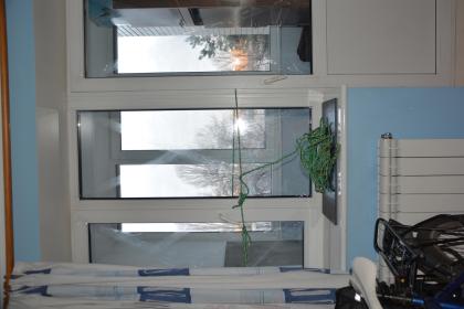 Bild von Fenstern und Seil