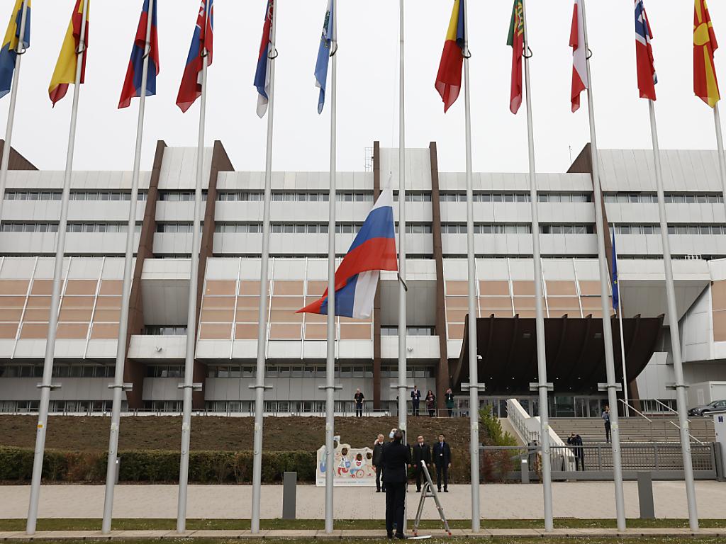 Выход из совета европы. Выход из совета европы. Совет европы и россия. Совет европы и россия. Ассамблее совета европы (пасе) петр толстой.