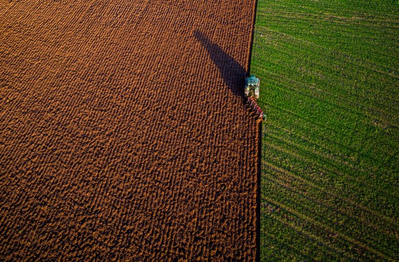 farm