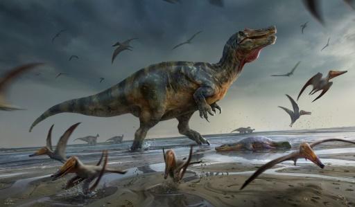 Descubierto en la isla de Wight un dinosaurio que fue quizás el mayor  depredador de Europa - SWI 