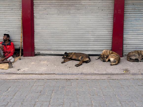一名乞丐坐在商店紧闭的大门前，他身旁睡着几只流浪狗。