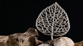 Uma folha impressa em 3D feita com o novo bioplástico