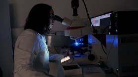 Frau betrachtet Bakterien unter einem Elektronenmikroskop