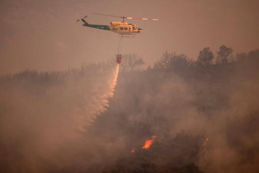 Western Europe suffocated by high temperatures and fires