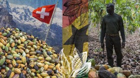 Montage image of Swiss flag and mountains, cocoa beans, Ghana flag, cocoa farmer