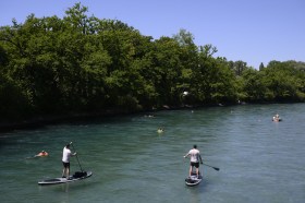 swimmers and paddleboarders River Aare
